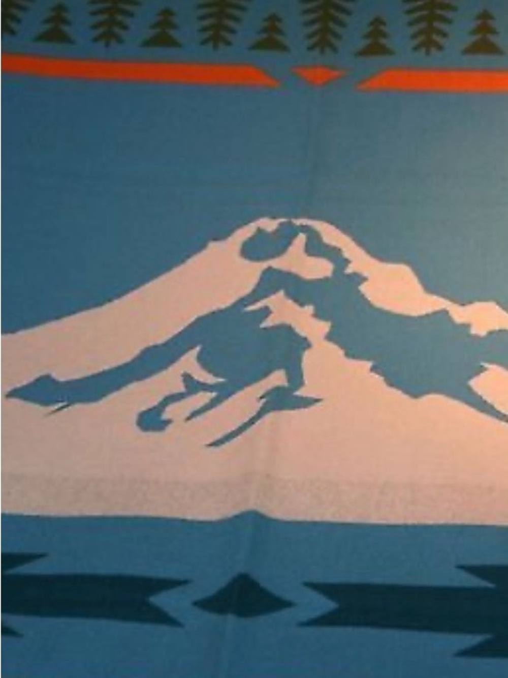 Pendleton Turquoise, Cream & Dark Teal Mountain Blanket